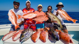 Craziest Snapper amp Grouper Fishing Catch Clean amp Cook Panama City FL [upl. by Ellenehc]