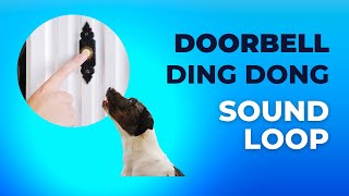 Doorbell Sound Ding Dong  Dog Desensitization Various [upl. by Arquit]