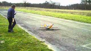 Duo de dewoitine D520  1800mm quot air land modelisme quot [upl. by Camille]