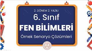 6 Sınıf Fen Bilimleri 2 Dönem 2 Yazılı Örnek Senaryo Çözümleri [upl. by Hobbie672]