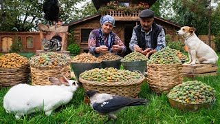 Harvesting and Baking with Fresh Almonds A Village Tradition [upl. by Hareema]