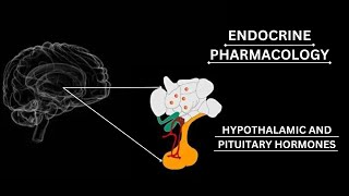 GonadotropinReleasing Hormone GnRH  AGONISTS AND ANTAGONISTS pharmacology katzung lippincot [upl. by Stu491]