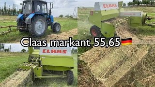 Claas Markant 5565 Prees Padbor sotiladi Mtz 892 Narxlari [upl. by Acino636]