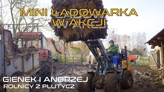 Wybieranie obornika w Plutyczach Andrzej i Jarek wynajęli mini ładowarkę Stage Giant g2300 Rolnicy [upl. by Nomzzaj989]