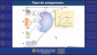 Farmaco Antagonistas y Agonistas USTABuca [upl. by Callan]