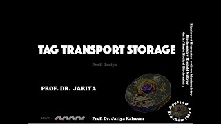 TAG SYNTHESIS TRANSPORT amp STORAGE [upl. by Katzir635]