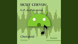 Sicut cervus Tenor Emphasised voice and other voices [upl. by Tema]