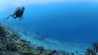 Explore underwater with me Great dive site by Tokashiki Island  move your phone to see around [upl. by Jackqueline]