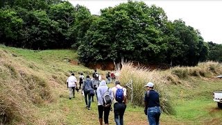 Sur les sentiers de la vallée de Ferney [upl. by Babara]