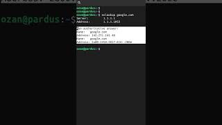 nslookup Komutu  Temel Linux Komutları pardus linux [upl. by Muffin]