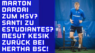 Marton Dardai zum HSV Wechselt Santi Ascacibar zu Estudiantes Mesut Kesik zurück bei Hertha BSC [upl. by Ahsitak981]