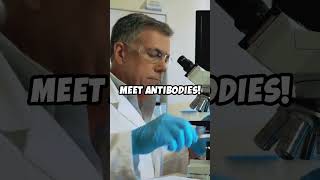 How Antibodies Protect Us 🛡️biology science antibodi [upl. by Eseneg]