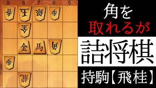 これがなんと詰みます【詰将棋】 [upl. by Nivrag227]