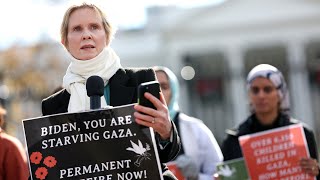 Cynthia Nixon criticised for hunger strike demanding Gaza ceasefire [upl. by Anik587]