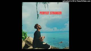 Cottsii  Perfect Stranger Audio [upl. by Oek]