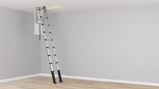 Telesteps Loft Line Telescopic Ladder [upl. by Kask219]