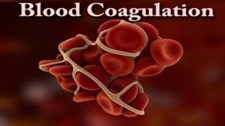 Blood Clotting in Animation ll Coagulation of Blood 🩸🩸 ll Animation Video 🩸💥🩸 [upl. by Abby747]