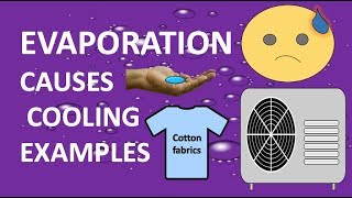 How does evaporation causes cooling examples  STATE OF MATTER 2 LIQUID CHEMISTRY  YOUTUBE [upl. by Auqenwahs]