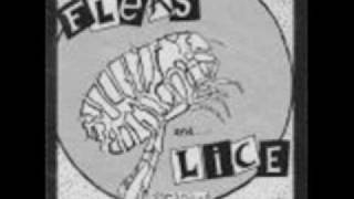 Fleas and Lice  Demotivating Songwmv [upl. by Nehepts]