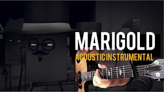 Periphery  Marigold Acoustic Instrumental [upl. by Haland389]