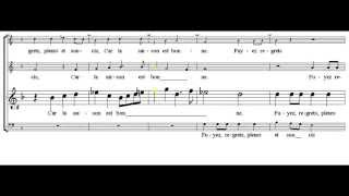 Le chant des oiseaux Janequin  tenor  tutorial  scrolling score [upl. by Sathrum543]