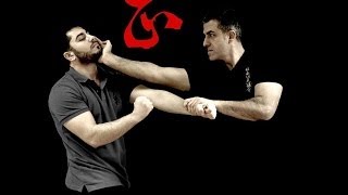 Wing Chun Demonstration [upl. by Aham221]