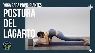 🧘Yoga para principiantes🧘 POSTURA 23 LAGARTO  SPORT LIFE [upl. by Haduhey]