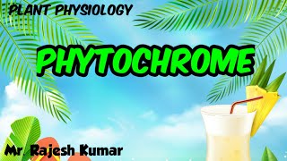 Phytochrome Plant PhysiologyCSIR NET in Hindi [upl. by Leda]