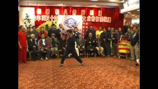 Poon Shing Choy Lee Fut Gymnasium  Sifu 林文英 Lam Man Ying performance [upl. by Ijok518]