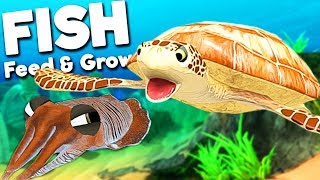 GIANT SEA TURTLE VS NEW CUTTLEFISH  Feed And Grow Fish SURVIVAL Gameplay [upl. by Munafo490]