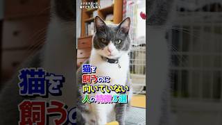 猫を飼うのに向いていない人の特徴３選 保護猫 保護 猫のいる暮らし [upl. by Rozanna946]