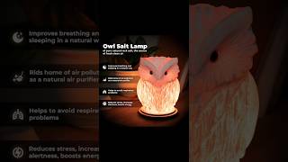 Himalayan Rock Salt Lamp  Owl Shape  Success 👑  Money💲 Business 🏆  हिमालयन नमक लैंप  उल्लू [upl. by Hirsch]