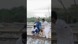 Bakri ko bacha lya islamicvideo india shortviral shortvideo usa viralvideo pakistan foryou [upl. by Ahsimed]