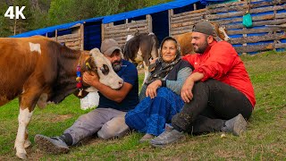 Yaylacı Anne ve Çoban Oğulları Dağlara Doğru  Belgesel4K [upl. by Namia]