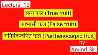 सत्य फल True fruit  आभासी फलFalse fruit  अनिषेकजनित फल Parthenocarpic fruit class 12th [upl. by Baxy175]