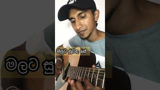 Malata Suwadase  මලට සුවඳ සේ  Guitar Cover amp Lesson  Guitar cover by Ushanchinthaka [upl. by Soraya87]