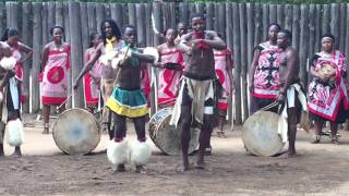 Traditional Swazi Dance [upl. by Clayberg]