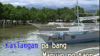 ROEL CORTEZ  DALAGANG PROBINSIYANA  VIDEOKE PHILIPPINES LOVE SONG [upl. by Nalod]