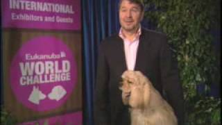 Interview with World Challenge breeder Laurent Pichard from Switzerland [upl. by Linette]