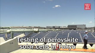 Testing of perovskite solar cells in Tokyo [upl. by Foote410]