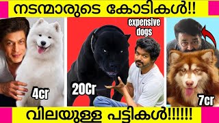 OMG Celebraties most expensive dogs  Most Expensive Dogs of Popular Actors  Mohanlal vijay Etc [upl. by Oina104]