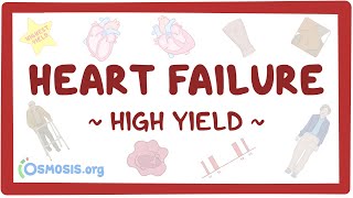 Heart failure Pathology review [upl. by Taber467]