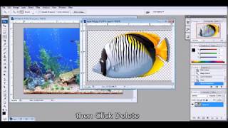 How to create GIF Animation in PhotoShop CS3 [upl. by Bahr713]