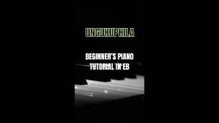 How to Play Ungukuphila Song in Eb worshippianotutorial pianolessons [upl. by Kera]