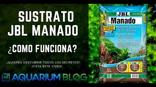 🌱🌿 SUSTRATO ACUARIO JBL MANADO ¿CÓMO PREPARAR USAR Y LAVAR TODO LO QUE DEBES SABER [upl. by Ebbie719]