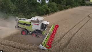 Harvesting wheat  Combine threshing machine [upl. by Nadoj46]