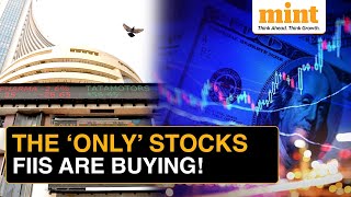 FIIs Buying these 3 MidCap Stocks Despite their Biggest Selloff in a Decade [upl. by Arhsub137]