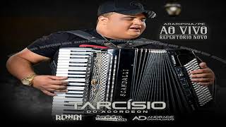 TARCISIO DO ACORDEON  AO VIVO em ARARIPINAPE 🎵🔊 RepertorioNovo 🇧🇷🔄 [upl. by Aieki]