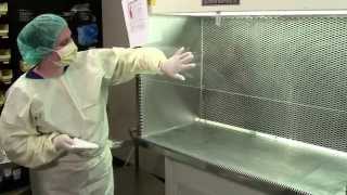 Laminar Flow Hood Cleaning [upl. by Hamburger]