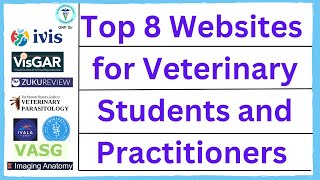 Top Veterinary Websites A Vets Best Friend Online [upl. by Ardnosak714]